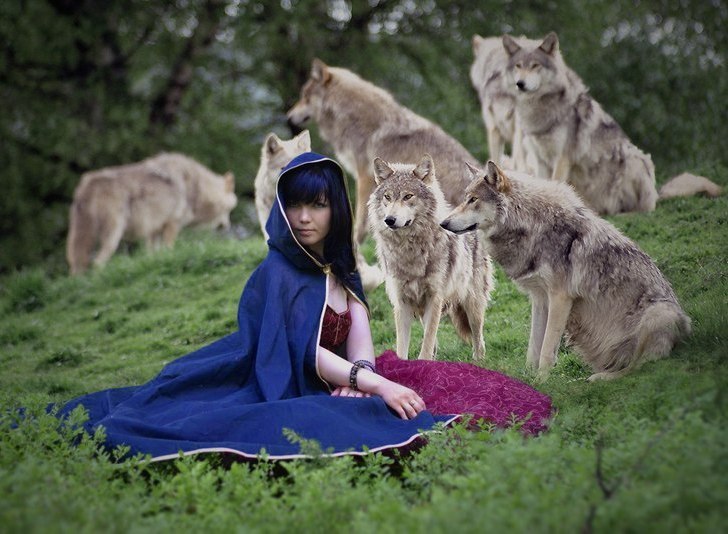 FАТАЛЬНЫЙ ВЫСТРЕЛ сингл Территория ночи (2013). FАТАЛЬНЫЙ ВЫСТРЕЛ сингл Территория ночи (2013).