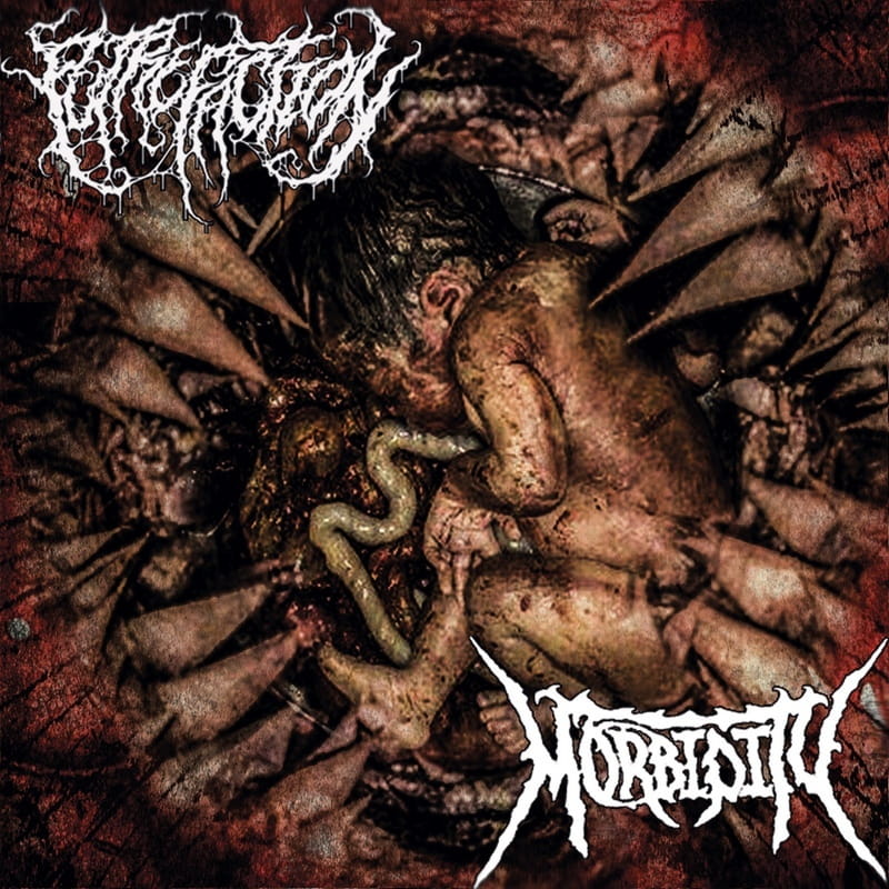 «PUTREFACTION / MORBIDITY» [Split] (2019) [скачать, слушать альбом]